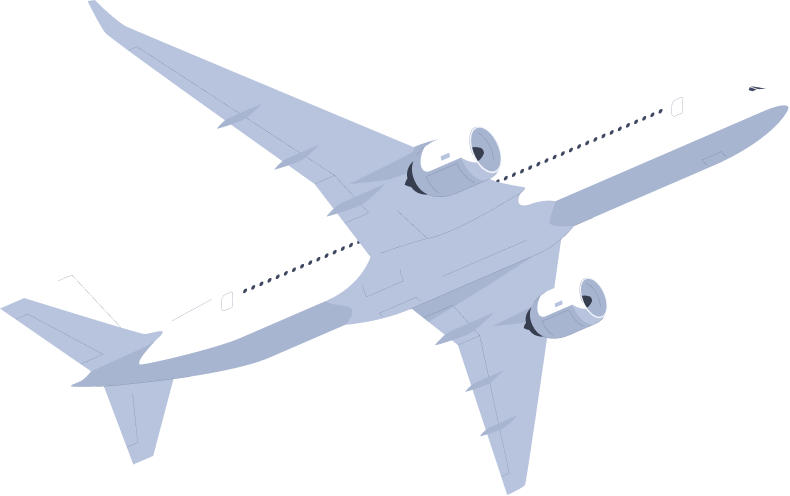 fly shape